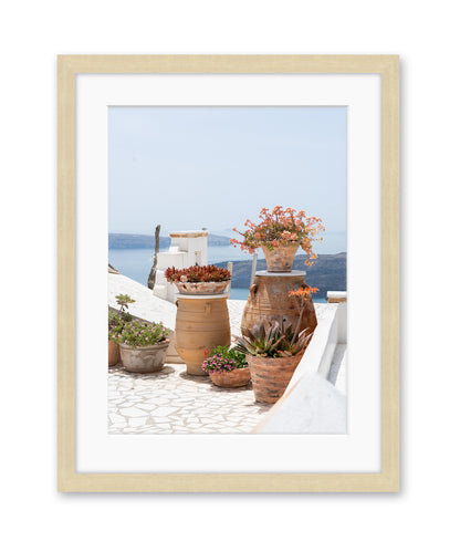 Blue and White Greece Floral Travel Print