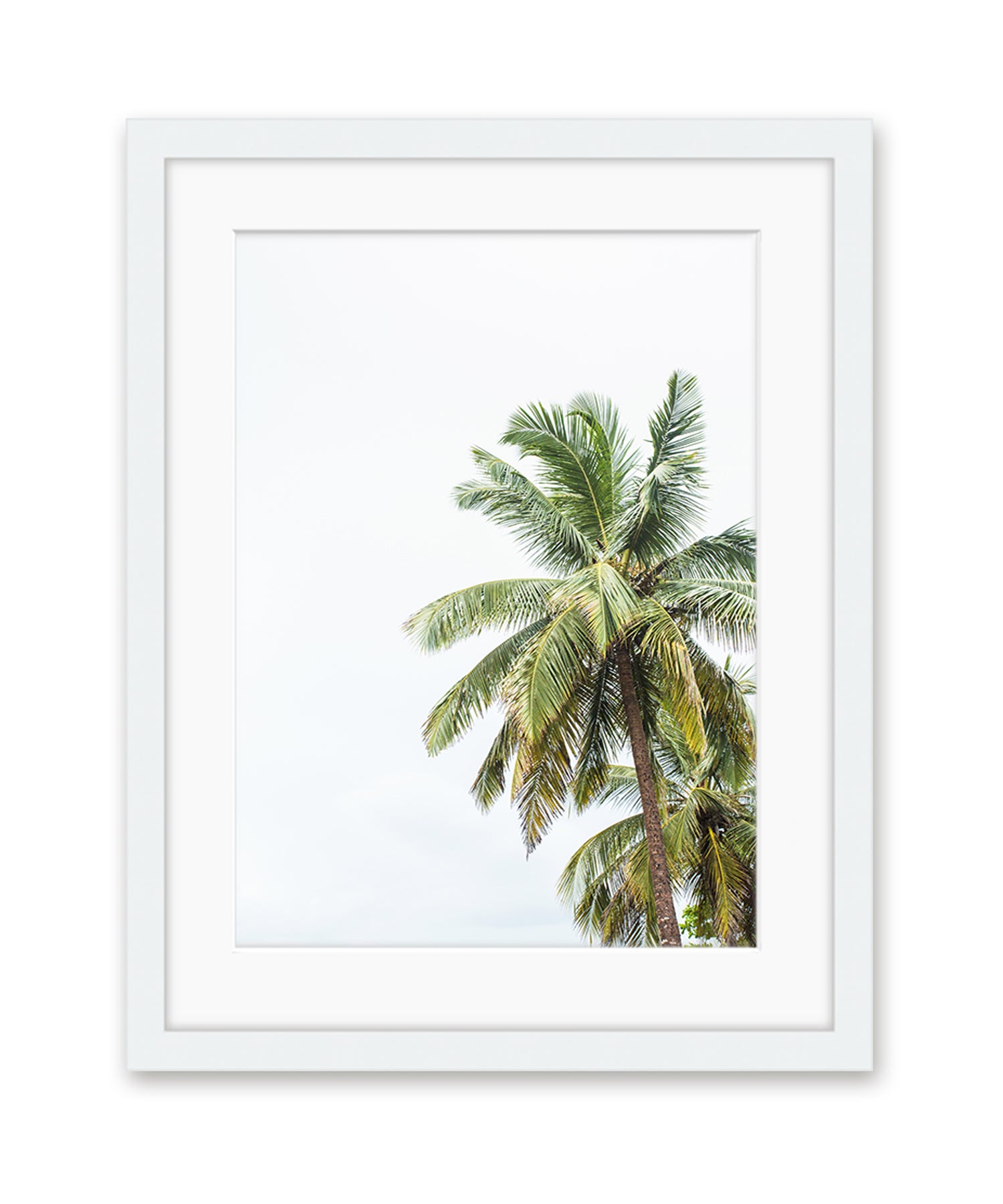 tropical palm tree print with white frame