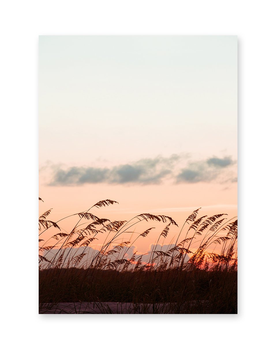 Warm Sunset Beach Print, Sea Grass, Wright and Roam